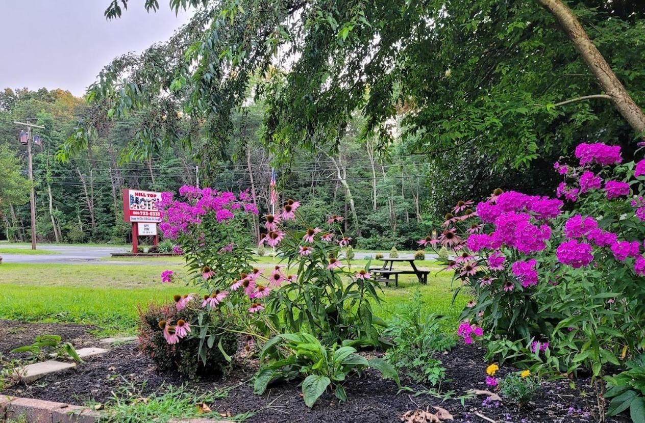 Hill Top Motel Wrightstown Екстериор снимка